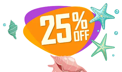 Summer promotion decorative image 4